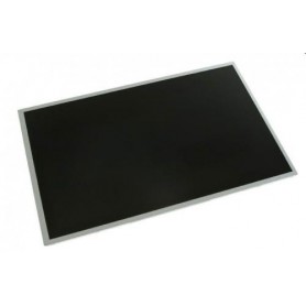 HP 491261-001 ricambio per notebook Display (491261-001)