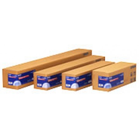 Epson Premium Glossy Photo Paper Roll carta fotografica Lucida premium (C13S042136)