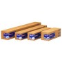 Epson Premium Glossy Photo Paper Roll carta fotografica Lucida premium (C13S042136)