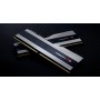 G.Skill Trident Z Z5 memoria 32 GB 2 x 16 GB DDR5 5600 MHz (F5-5600J3636C16GX2-TZ5S)