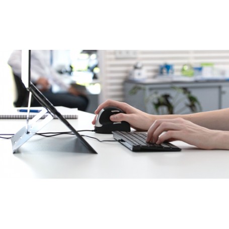 R-Go Tools RGOSETBA-DE tastiera USB QWERTZ Tedesco Nero (RGOSETBA-DE)