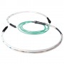 ACT RL4226 cavo a fibre ottiche 260 m 8x LC OM3 Trasparente (RL4226)