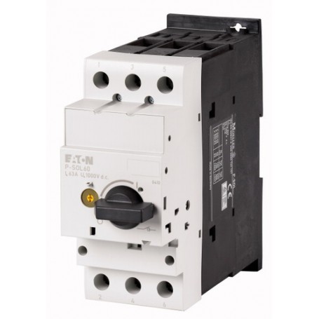 Eaton P-SOL60 interruttore elettrico Interruttore rotante 2P Nero, Bianco (120936)