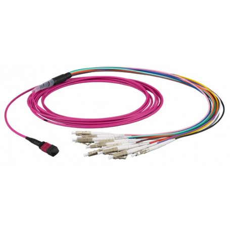 EFB Elektronik MTPF12LCOM4-10 cavo a fibre ottiche 10 m MTP 12x LC OM4 Porpora (MTPF12LCOM4-10)