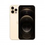 Apple iPhone 12 Pro Max 17 cm (6.7") Doppia SIM iOS 14 5G 128 GB Oro (MGD93ZD/A)