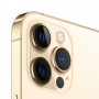Apple iPhone 12 Pro Max 17 cm (6.7") Doppia SIM iOS 14 5G 128 GB Oro (MGD93ZD/A)