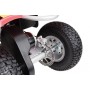 Razor Dirt Quad Ride-on quadricycle (25186501)