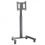 Chief PFCUB carrello e supporto multimediale Pannello piatto Carrello multimediale (PFCUB)