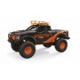 Amewi Dirt Climbing Beast 1:10 Camion cingolato (22529)