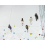 Bosch MBV-XCHAN-DIP licenza per software/aggiornamento Base 1 licenza/e (MBV-XCHAN-DIP)