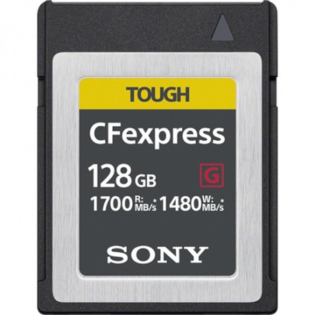 Sony CEB-G128 memoria flash 128 GB PC Card (CEB-G128)