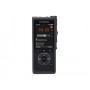 Olympus DS‑9500 Flash card Nero (V741010BE000)