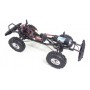 Amewi AMXRock Raptor Motore elettrico 1:10 Macchina fuoristrada (22337)