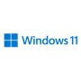 Microsoft Windows 11 Pro for Workstations 1 licenza/e (HZV-00101)