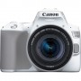 Canon EOS 250D + EF-S 18-55mm f/4-5.6 IS STM Kit fotocamere SLR 24,1 MP CMOS 6000 x 4000 Pixel Bianco (3458C001)
