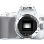 Canon EOS 250D + EF-S 18-55mm f/4-5.6 IS STM Kit fotocamere SLR 24,1 MP CMOS 6000 x 4000 Pixel Bianco (3458C001)