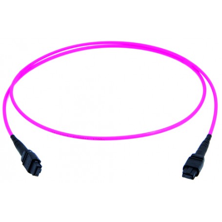 Telegärtner L00833A0006 cavo a fibre ottiche 5 m MPO OM4 Viola (L00833A0006)