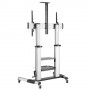 LogiLink BP0084 Supporto per display espositivi 2,54 m (100") Nero, Grigio (BP0084)