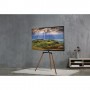 Reflecta 23219 supporto TV e sistema audio (23219)
