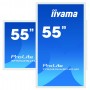 iiyama ProLite TF5539UHSC-W1AG monitor touch screen 139,7 cm (55") 3840 x 2160 Pixel Multi-touch Multi utente  (TF5539UHSC-W1AG)