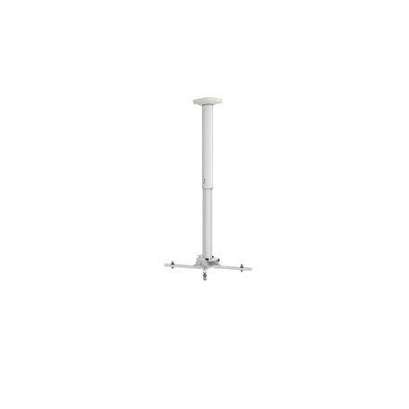 Kindermann Premium MA 100 supporto per proiettore Soffitto Bianco (7460000101)
