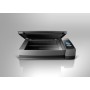 Plustek OpticBook 3800L Scanner piano 1200 x 1200 DPI A4 Nero (0281)