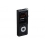 Olympus DS-2600 Flash card Nero (V741030BE000)