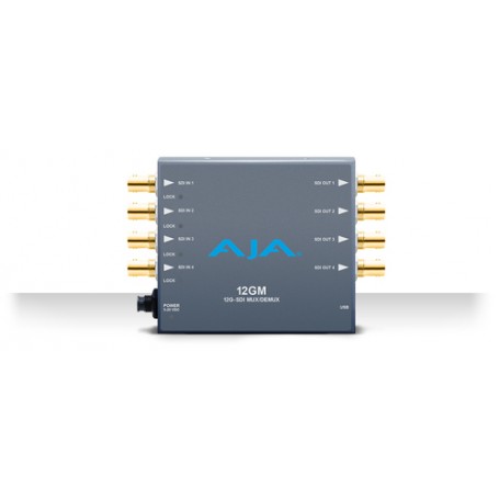 AJA 12GM convertitore video 4096 x 2160 Pixel (12GM)