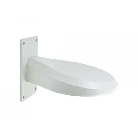 LevelOne CAS-2313 accessorio per la montatura delle macchine fotografiche (CAS-2313)