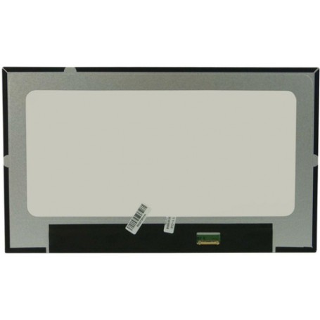 CoreParts MSC140F30-269M ricambio per notebook Display (MSC140F30-269M)