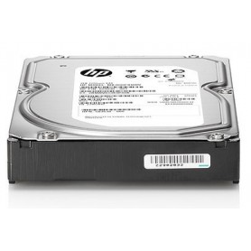 Hewlett Packard Enterprise SATA HDD 250GB 3.5" Seriale ATA II (713819-B21)