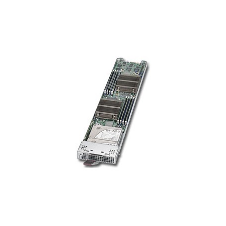 Supermicro MicroBlade MBI-6219G-T Intel® C236 LGA 1151 (Presa H4) Grigio, Argento (MBI-6219G-T)