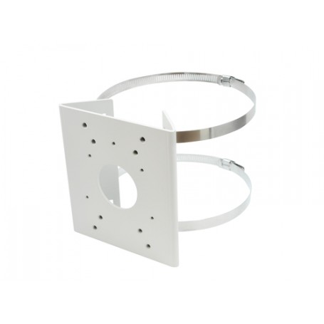 LevelOne CAS-2504 accessorio per la montatura delle macchine fotografiche (CAS-2504)