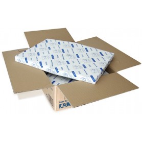 Epson Color Laser Paper carta inkjet A3 (297x420 mm) 250 fogli (C13S041165)