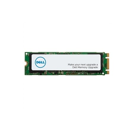DELL MGNHV drives allo stato solido M.2 256 GB Serial ATA III (W125716170)