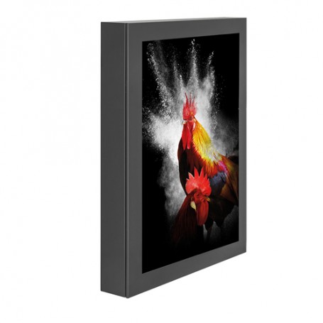 Hagor ScreenOut Pro L 139,7 cm (55") Alluminio (1652)