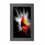 Hagor ScreenOut Pro M 121,9 cm (48") Alluminio (1651)