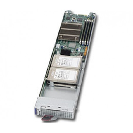 Supermicro MicroBlade MBI-6119G-T4 Intel® C236 LGA 1151 (Presa H4) Grigio, Argento (MBI-6119G-T4)