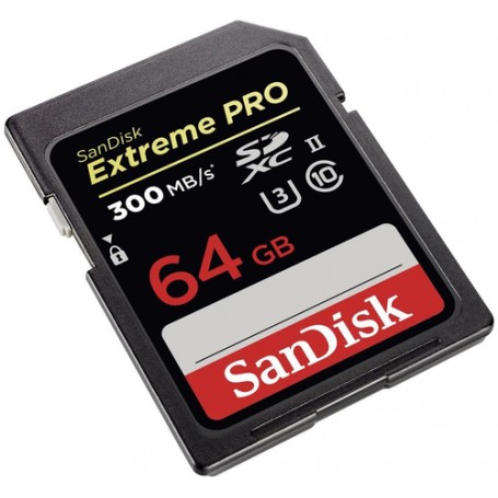 SanDisk Extreme PRO, 64 GB SDXC UHS-II Classe 10 (SDSDXPK-064G-GN4IN)