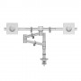 Dataflex Viewgo 68,6 cm (27") Morsa/Bullone di ancoraggio Argento (48.132)