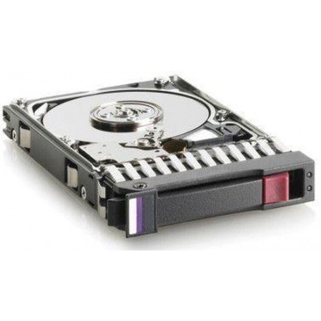 Hewlett Packard Enterprise 713958-001 disco rigido interno 2.5" 300 GB SAS (713958-001)