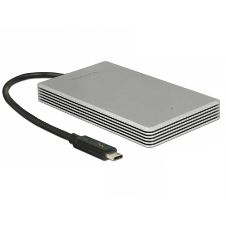 DeLOCK 54060 unità esterna a stato solido 120 GB Argento (54060)