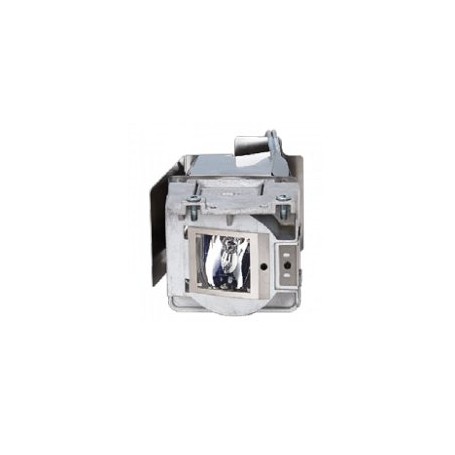 Viewsonic RLC-115 lampada per proiettore (RLC-115)