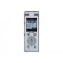 Olympus DM-770 Memoria interna e scheda di memoria Argento (V414131SE000)