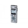Olympus DM-770 Memoria interna e scheda di memoria Argento (V414131SE000)