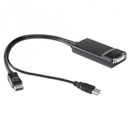 HP 572033-001 cavo e adattatore video 0,5 m 2x DisplayPort DVI-D Nero (572033-001)