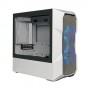 Cooler Master TD300 Mini Tower Bianco (TD300-WGNN-S00)