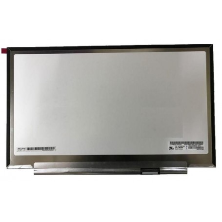 CoreParts MSC1402K30-243G ricambio per notebook Display (MSC1402K30-243G)