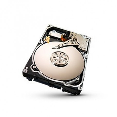 Promise Technology F29VA2S20000009 disco rigido interno 3.5" 2000 GB Seriale ATA II (F29VA2S20000009)