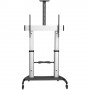 StarTech.com STNDMTV100 Supporto TV a parete 2,54 m (100") Nero, Argento (STNDMTV100)